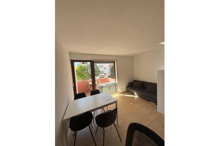 Möbliertes 1-Zimmer-Apartment mit Balkon - Konstanz Konstanz-Fürstenberg