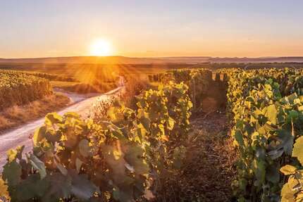 Grundstück zu verkaufen in Groß-Umstadt 469.500,00 € 837.77 m²