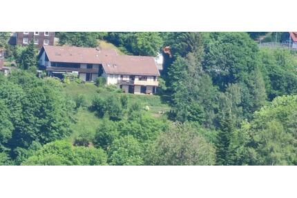 Eigentumswohnug in Toplage von St.Andreasberg 85m² + Garage - Braunlage Sankt Andreasberg