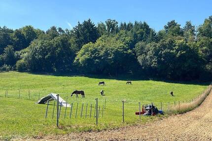 Rohbaubesichtigung am Sa. 14.03. von 13-14 Uhr: 
