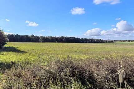 Grundstück zu verkaufen in Osloß 201.000,00 € 804 m²