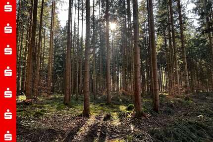 Grundstück in Otterfing 676.500,00 € 56354 m²