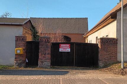 Bauernhaus mit großem Garten - 140.000,00&nbsp;EUR Kaufpreis, ca.&nbsp; 90,00&nbsp;m&sup2; in Muldestausee (PLZ: 06774)