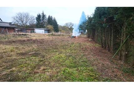 Eingezäunte Wiese - 50,00&nbsp;EUR Kaltmiete, ca.&nbsp; 0,00&nbsp;m&sup2; in Beetzendorf (PLZ: 38489)