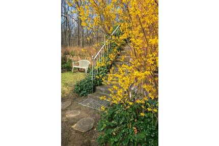 Wohnung zum Kaufen in Berlin 490.000,00 € 110 m²