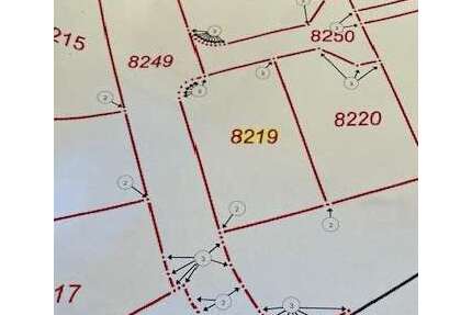 Grundstück zu verkaufen in Wachenheim 299.000,00 € 468 m²