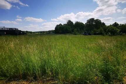 Grundstück zum Mieten in Ottendorf-Okrilla 4.104,36 € 1267 m²