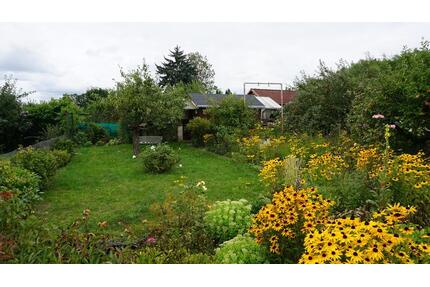 Kleingarten in Gohlis abzugeben - SOFORT - Leipzig Nord