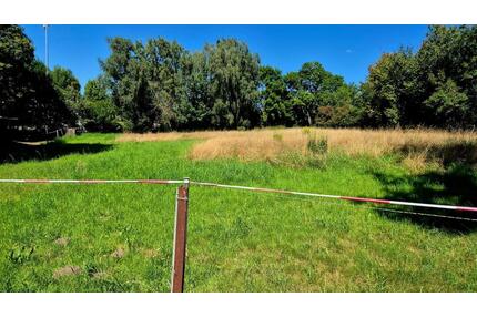 Weidefläche in Taucha zu verpachten