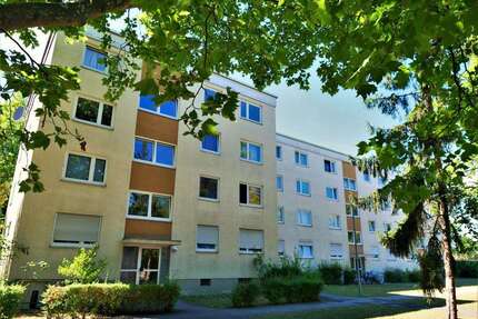 Wohnung zum Mieten in Frankenthal (Pfalz) 739,00 € 71.3 m²