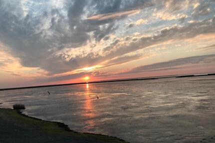 Urlaub am Meer Kleines StudioAppartement für individuelle Gäste - Dornum
