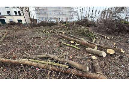 Wohnung zum Kaufen in Eberswalde 105.448,50 € 19.71 m²