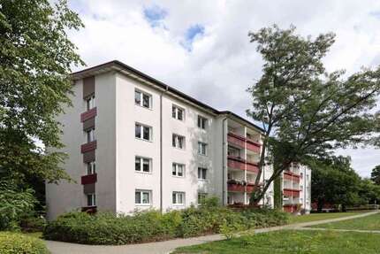 Wohnung zum Mieten in Hoyerswerda 335,00 € 62.01 m²