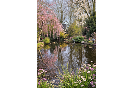 Haus zum Kaufen in Kempen 699.000,00 € 322.59 m²