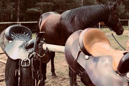 Einzigartiger Ranchurlaub in Schweden, Småland - Stapelfeld