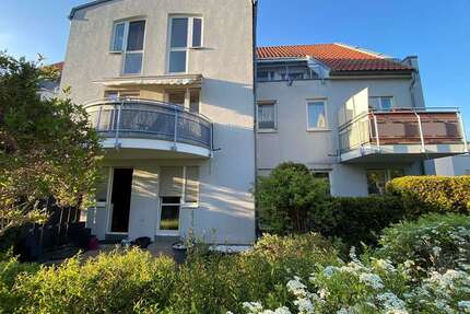 Wohnung zum Kaufen in Dresden 135.000,00 € 53.5 m²