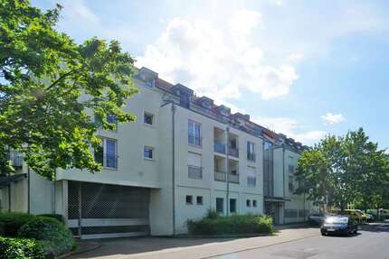 Wohnung zum Mieten in Dresden 370,00 € 42.97 m²