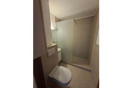 1,5 Zi. Wohnung teilmöbliert und neu renoviert - Dobel