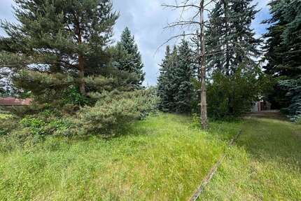 Grundstück zu verkaufen in Coswig 195.000,00 € 900 m²
