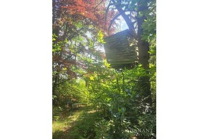 Idyllisches Baugrundstück umgeben von Natur - Trippstadt