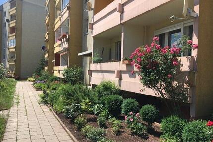 vermieten ab sofort eine schöne große 3 Raumwohnung in Artern