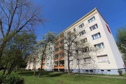 Wohnung zum Mieten in Halle (Saale) 271,00 € 41.6 m²