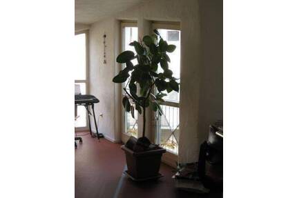 Top Helle Wohnung- Innenstadt--138m² Wohnfläche plus 15m² Dachterrasse. - Schweinfurt Musikerviertel und amerik. Siedlung