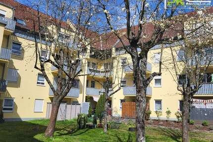 Wohnung zum Kaufen in Gemünden am Main 79.000,00 € 48.98 m²