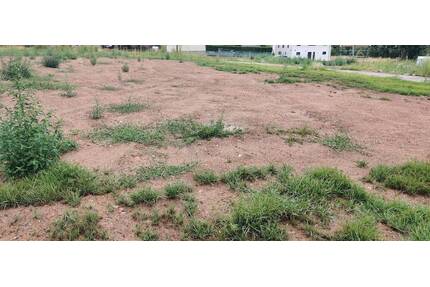 Bauland in Flöha - 87.120,00&nbsp;EUR Kaufpreis, ca.&nbsp; 0,00&nbsp;m&sup2; in Flöha (PLZ: 09557) Falkenau