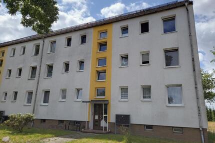 3 Zimmer Einbauküche SP möglich Bezug ab 04.2026 - Machern
