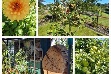 Kleingarten „Verbindungsweg“ - 4.600,00&nbsp;EUR Kaltmiete, ca.&nbsp; 0,00&nbsp;m&sup2; in Rostock (PLZ: 18146) Alt Bartelsdorf