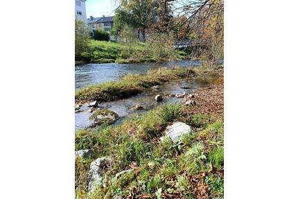 Hochwertige 1 Zi Wohnung in Freiburg - Teningen