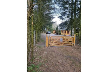 Haus mit großem Grundstück am Wald zu verkaufen - Süderlügum