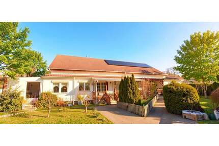 Haus zum Kaufen in Kotzen 359.000,00 € 200 m²