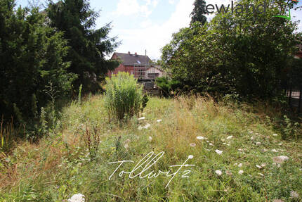 Traumhaft großes Grundstück in Tollwitz bei Markranstädt zum Traumhausbau! - Bad Dürrenberg