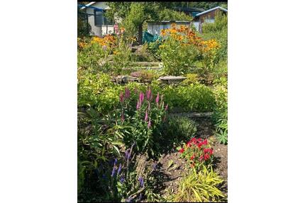 Schrebergarten - 999,00&nbsp;EUR Kaltmiete, ca.&nbsp; 0,00&nbsp;m&sup2; in Schwarzenberg/Erzgebirge (PLZ: 08340)