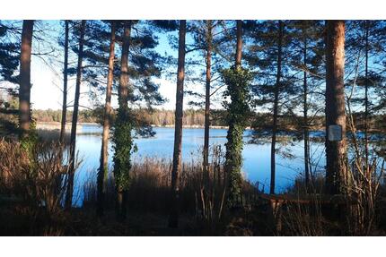 Wochenendgrundstück 750 qm in Möhlau am Möhlauer See zu verkaufen - Gräfenhainichen Zschornewitz