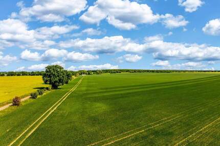 Moderne Reihenhäuser mit Garten, Keller & flexibler Planung in ruhiger Lage von Mittenwalde