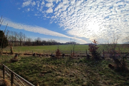 !!! Baugrundstück !!! mit traumhaften Ausblick über Felder - Zarpen