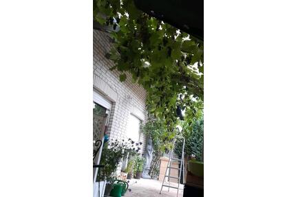 Einfamilienhaus - 320.000,00&nbsp;EUR Kaufpreis, ca.&nbsp; 168,00&nbsp;m&sup2; in Warburg (PLZ: 34414)