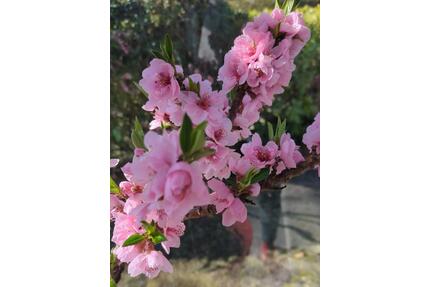 Einfamilienhaus mit Einliegerwohnung in Eyendorf von privat - Salzhausen