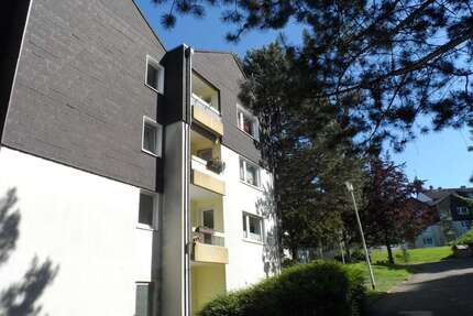 Wohnung zum Mieten in Essen 330,91 € 38.34 m²
