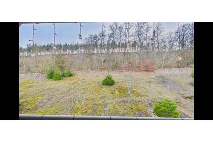 5 Zimmer Wohnung - 340.000,00&nbsp;EUR Kaufpreis, ca.&nbsp; 106,00&nbsp;m&sup2; in Immendingen (PLZ: 78194)
