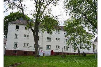 Wohnung zum Mieten in Iserlohn 319,00 € 31.46 m²