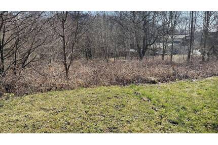 Bauen Sie nach Ihren Wünschen - 35.000,00&nbsp;EUR Kaufpreis, ca.&nbsp; 0,00&nbsp;m&sup2; in Beiersdorf (PLZ: 02736)