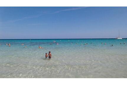 Apartment für 2 Pers. Cala Millor 1. Linie - Dasing