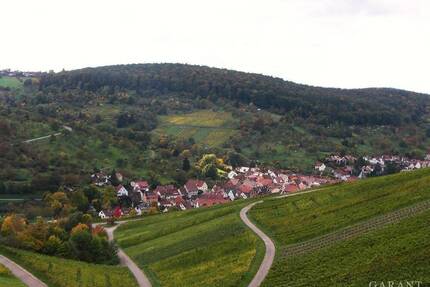 Idyllisches Wohnen, umgeben von Weinbergen und Obstbaumwiesen. - Weinstadt Strümpfelbach