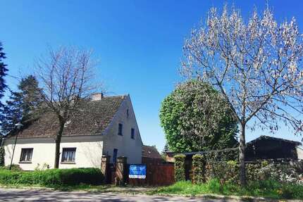 Haus zum Kaufen in Altreetz 290.000,00 € 158.44 m²