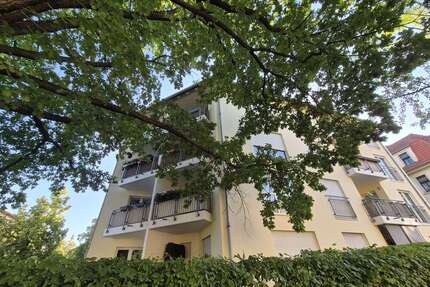 Wohnung zum Kaufen in Dresden 145.000,00 € 65.68 m²