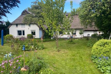 Schöne Reetdachkate mit Nebengebäuden in Schleinähe - Süderbrarup